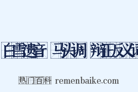 白雪遗音·马头调·辩正反义词是什么意思的图片